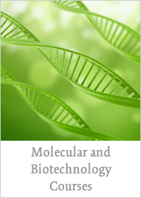 molecular_biotech_courses