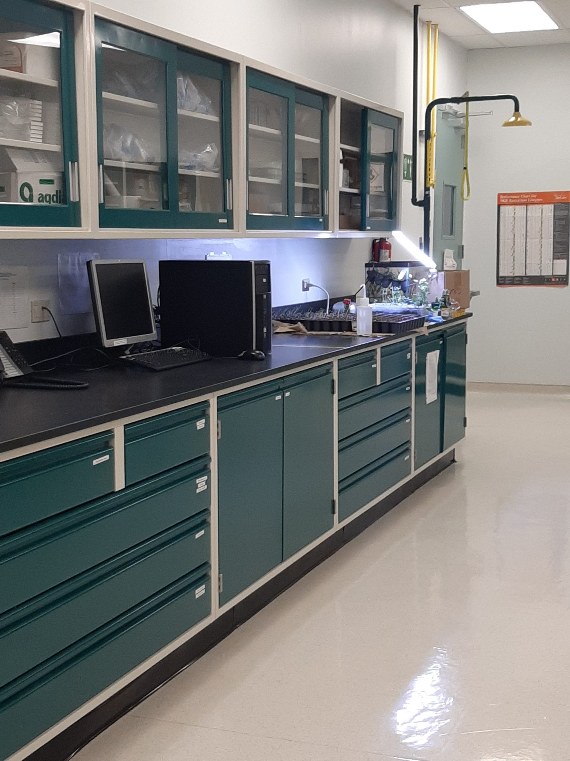 Laboratorio de Microbiología - Dr. Xavier Cruz